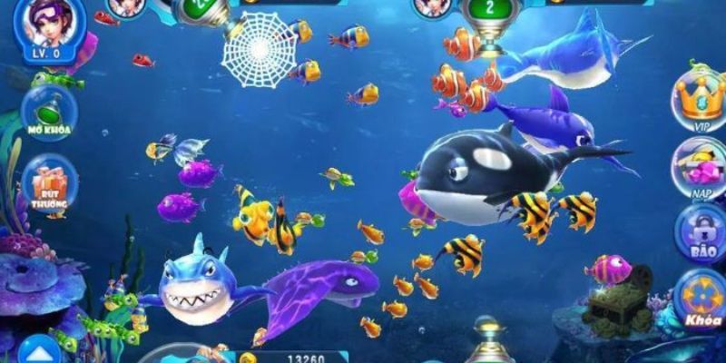 Ngắm đầu cá sẽ có cơ hội tiêu diệt cao hơn