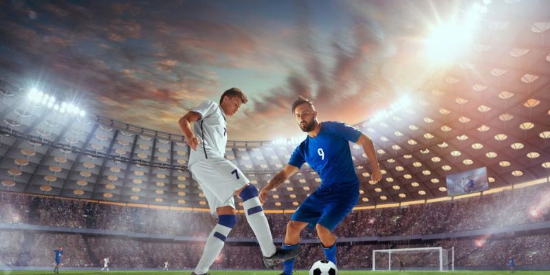 Trang cá cược thể thao - Nơi dừng chân hàng đầu của hội viên