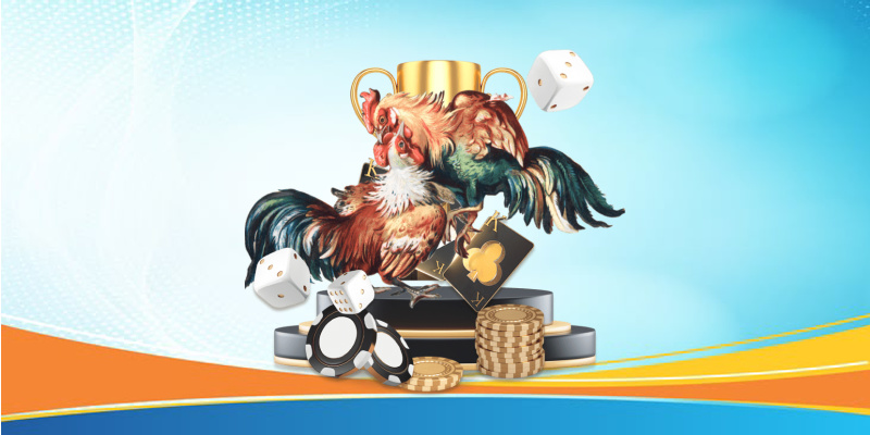 Bảng cược đã được tinh chỉnh hợp lý
